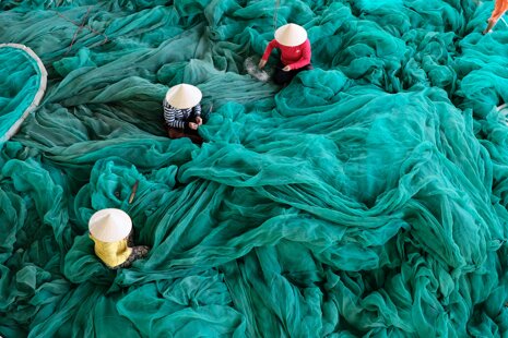 People working within a large fishing net